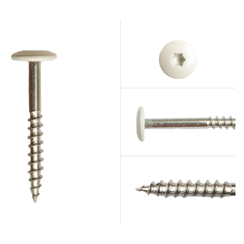 Vis à tête colorée en acier inoxydable blanc 4.8 x 38 mm - Boîte