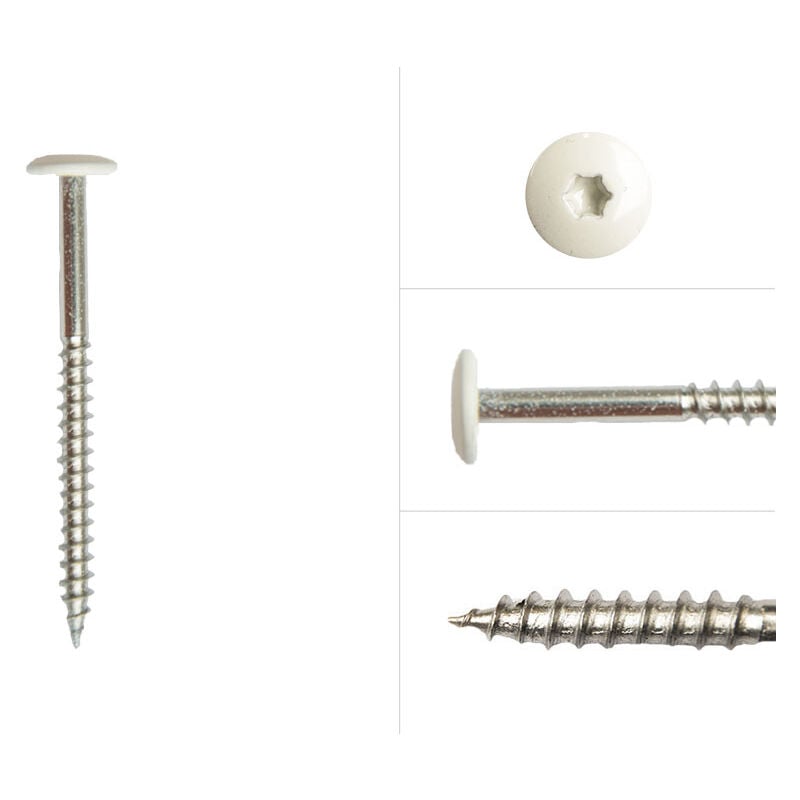Vis à tête colorée en acier inoxydable blanc 4.8 x 60 mm - Boîte