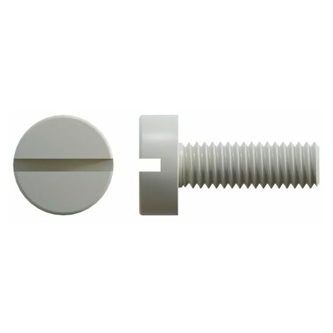 Vis à tête Cylindrique fendue, Nylon, M6, 12mm ( Prix pour Sachet de 100 )
