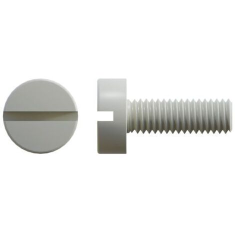 Vis à tête Cylindrique fendue, Nylon, M6, 30mm ( Prix pour Sachet de 100 )