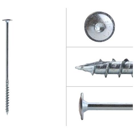 Vis à tête disque galvanisée 10.0 x 260 mm Torx 40 - Boîte 25
