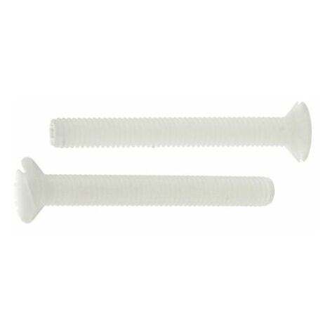 Vis à tête Fraisée fendue, Nylon, M3, 25mm ( Prix pour Sachet de 100 )