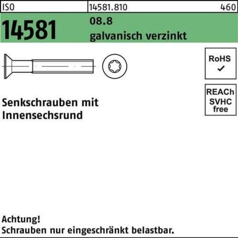 Vis à tête fraisée ISO 14581 ISR M6x25 T30 8.8 galv. 500p.