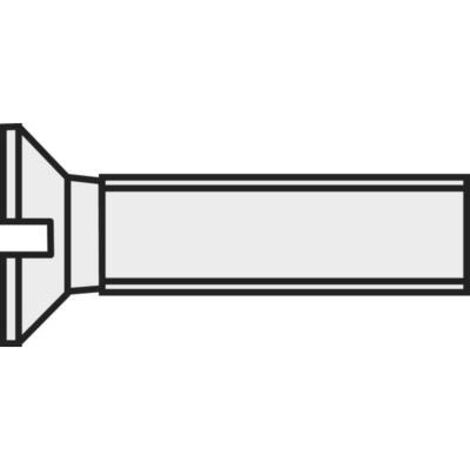 VIS À TÊTE FRAISÉE TOOLCRAFT 839952 10 PC(S) M3 10 MM TÊTE FRAISÉE PLAT PLASTIQUE, POLYAMIDE DIN 963