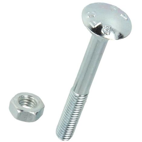 Vis à tête plate galvanisée M8 x 20 mm avec écrou hexagonal