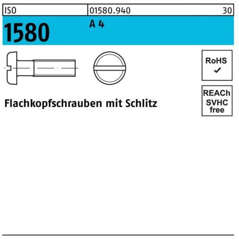 Vis à tête plate ISO 1580 fendue M3x 8 A 4 200 pièces