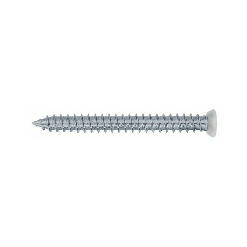 Finish - Vis auto taraudeuse who tf torx blanche 202 mm boite de 100