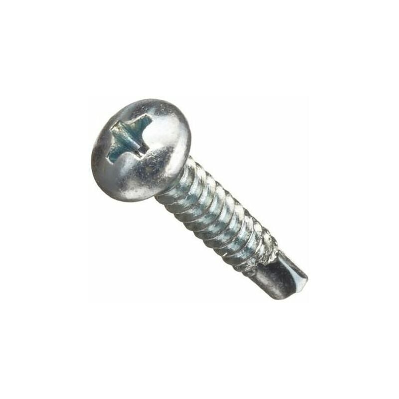 Rs Pro - Vis autoforeuse Acier Zingué ( Prix pour Paquet de 100 )