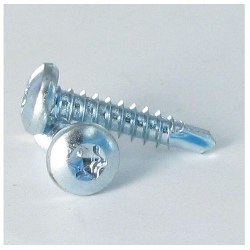 Vis autoperceuse Tête cylindrique bombée tcb 4.8X25 torx T25 Acier zingué-1000 pièces