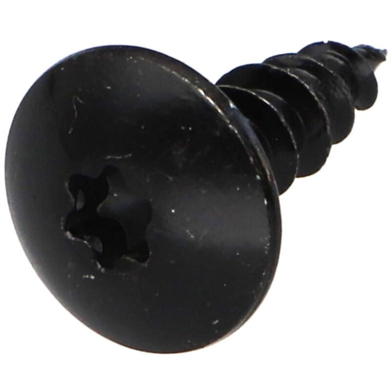 Vis autoperceuse Tête cylindrique bombée tcb 4.8X38 torx T25 Acier zingué-4000 pièces