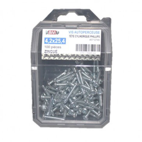 Vis autoperceuse tête cylindrique empreinte Phillips® Zingué - 4,2 x 19 mm Coque de 100 pièces - BIVI