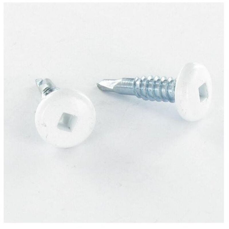 Vis autoperceuse Tête cylindrique tc empr car 4.2X19 Acier zingué RAL9010 blanc pur-1000 pièces
