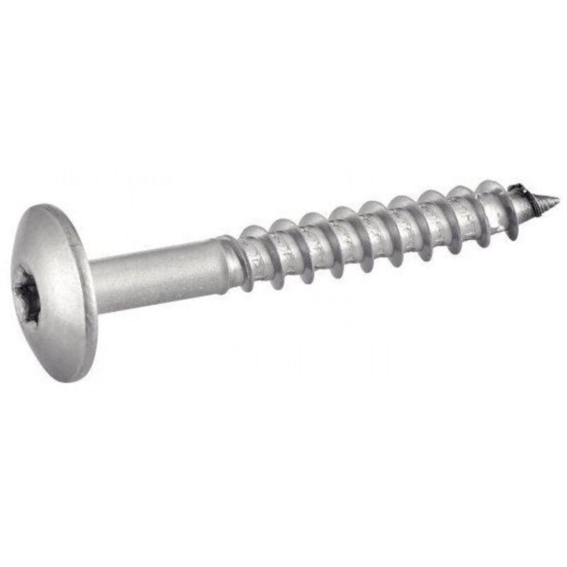 Vis de facade torx T20 5.5X45 Diamètre de tête: 12.3 Inox A2-100 pièces