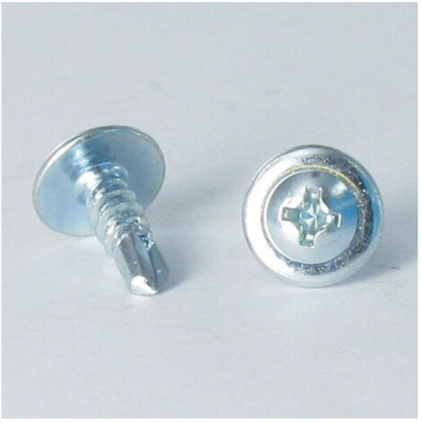 Vis autoperceuse Tête ronde large Phillips Sans Cranté 4.8X45 Acier zingué-30 pièces