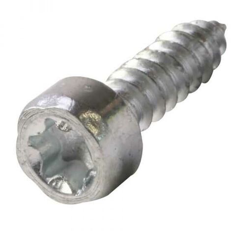 Vis autotaraudeuse de forme cylindrique pour tronçonneuse Stihl 029 MS290