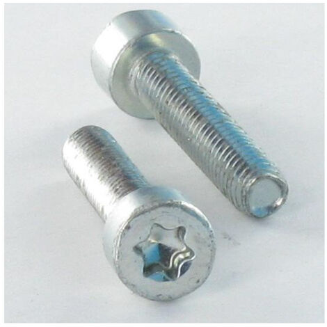Vis autotaraudeuse Tête cylindrique TC 4X10 TORX T20 Acier zingué-1 pièce