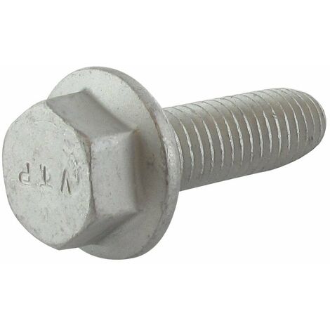 Vis avec rondelle M10x30 GGP - CASTELGARDEN 112735108/1