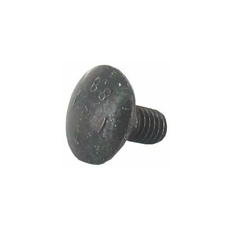 Vis bombée avec tête carrée M6 x 12mm GGP - CASTELGARDEN 112815205/0