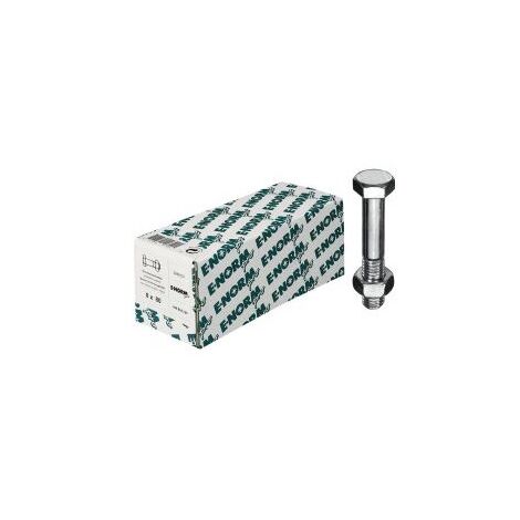Vis + boulon DIN 601 Mu HDG M6x100 HP E-NORMpro (Par 100)