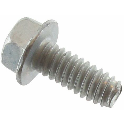 Vis BRIGGS ET STRATTON 690297