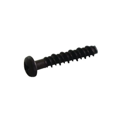 Vis BRIGGS ET STRATTON 691138