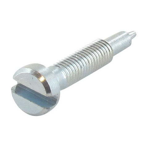 Vis BRIGGS ET STRATTON 691777