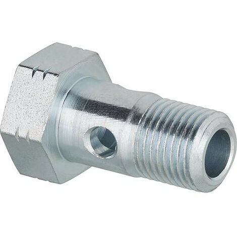 Vis creuse R 1/8"mâle pour flexible 10 mm bague