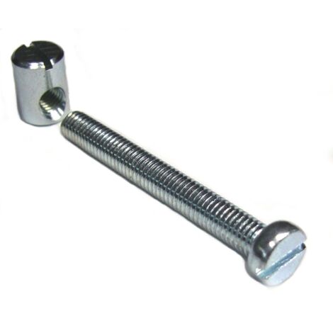 Vis cylindrique fendue et plot Strauss Vonderweidt x4