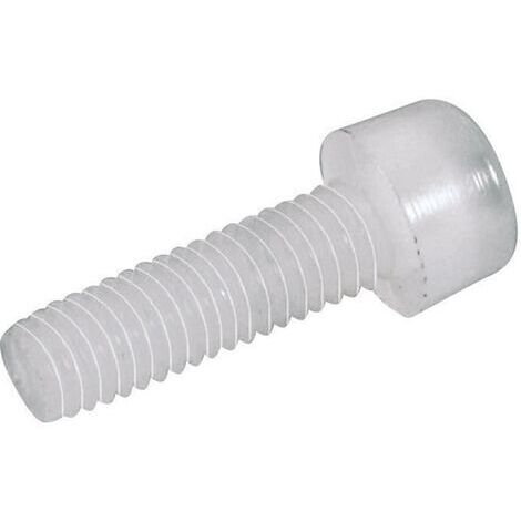 Vis cylindrique TOOLCRAFT 830297 10 pc(s) M4 20 mm tête cylindrique 6 pans intérieurs plastique, Polyamide N/A C27504