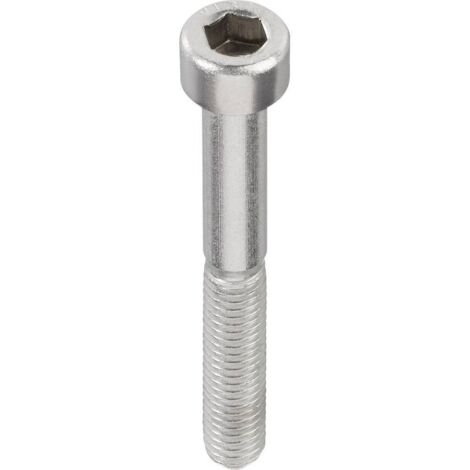 Vis cylindrique TOOLCRAFT 839691 20 pc(s) M2 5 mm tête cylindrique 6 pans intérieurs acier inoxydable N/A C20809