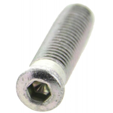 Vis d ancrage longueur 50 mm (lot de 4) FAPIM 6603A0054Z5