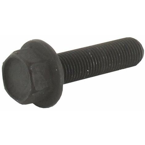 Vis de 32 mm AYP 181712
