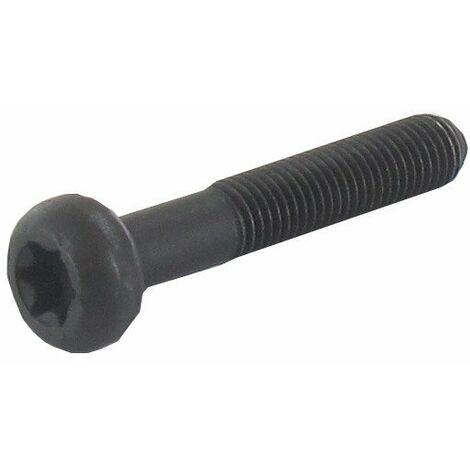 Vis de bielle BRIGGS ET STRATTON 791118