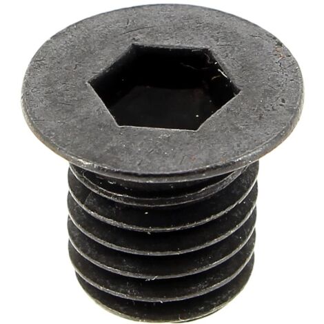 Vis de couteau m10x10 pour Broyeur vegetaux Trimma, Broyeur vegetaux Bestgreen, Broyeur vegetaux Parkside
