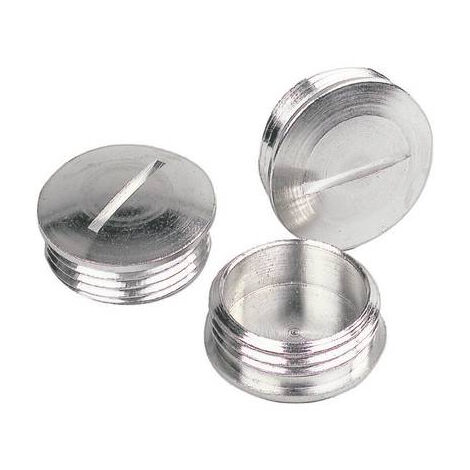 VIS DE FERMETURE LAPP 52103130 M25 M25 LAITON 1 PC(S)