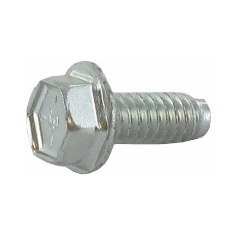 Vis de fixation 6 x 15 mm BRIGGS ET STRATTON 691108