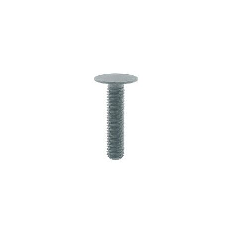 Vis de fixation M10x 45mm Galva FORMAT
