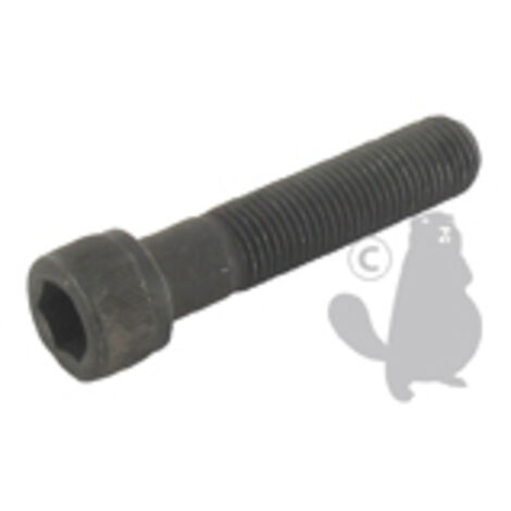 Vis De Lame à Tête Inbus Adaptable Pour Sabo - L: 45mm, ø: 3/8- 24unfmm. Remplace Origine: 11866, Sa11866, Saa11866.