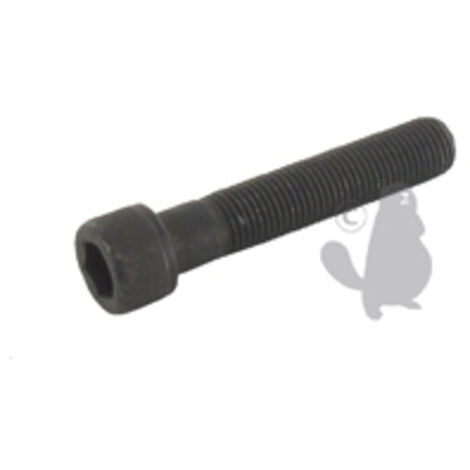 Vis De Lame à Tête Inbus Pour Sabo - L: 50mm, ø: 3/8- 24unfmm. Remplace Origine: 11903, Sa11903, 29475, Sa29475, 29745, Sa29745,