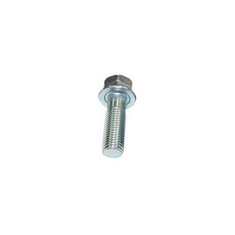 Vis de lame mulching tondeuse KAAZ - 31057220