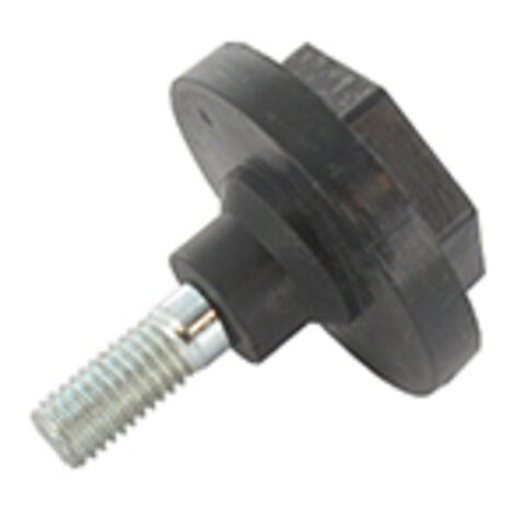 Vis De Lame Pour Tondeuse électrique Castelgarden - Origine: 81004342, 381004342/0. -pl