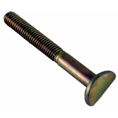 Vis de mancheron M6x50mm