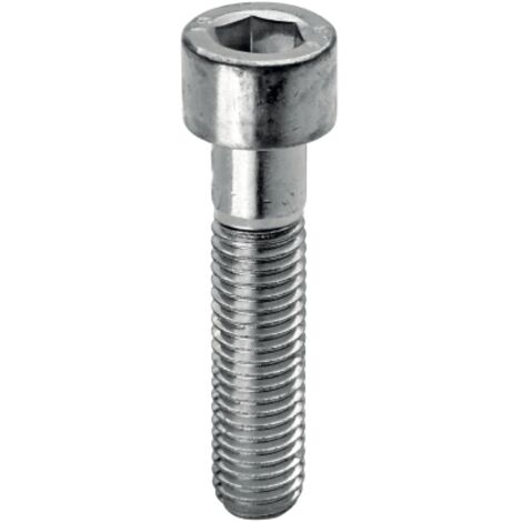 Vis de protection TCEI 8.8 20 pcs galvanise' pour protecteur de se'curite' monolithique M6 x 80 mm