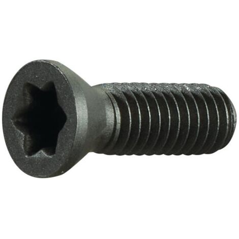 Vis de serrage M35 longueur de filetage 10 mm adapté à porte-plaq. à serrage SE (Par 2)