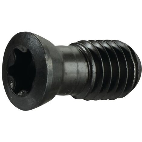 Vis de serrage taille T15 p. taille panneau SPMT 1204.. M4 longueur de filetage 10,5 mm adapté à fraise pour rainures en T