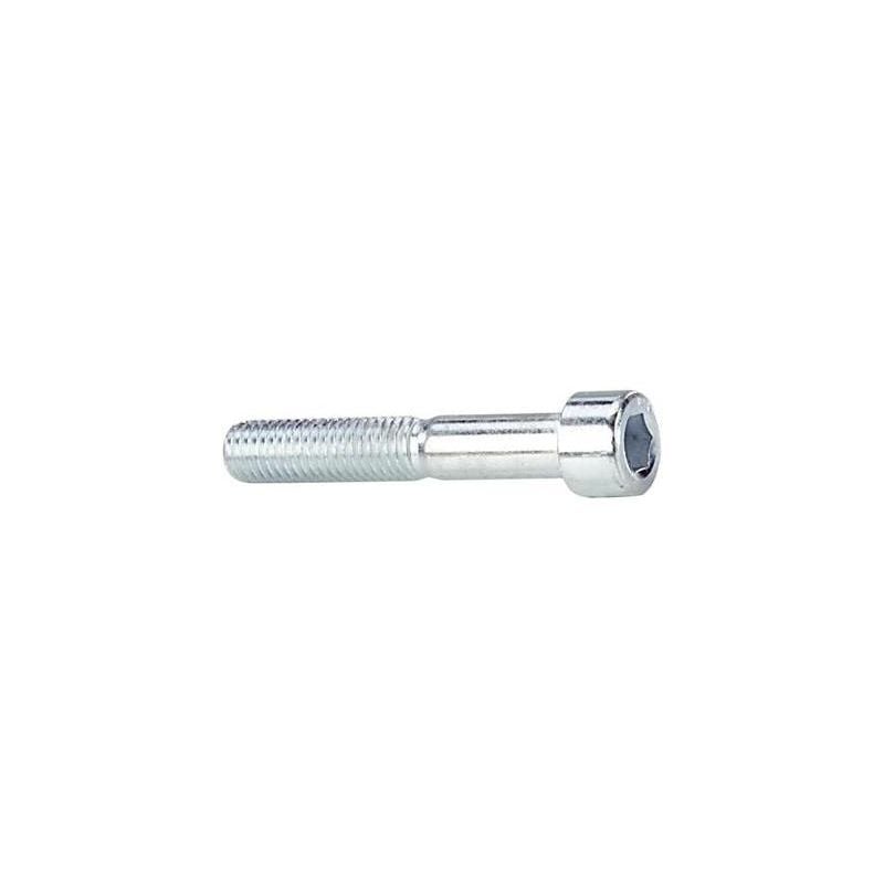 Vis À Empreinte Hexagonale 100 Pc(S) M4 20 Mm 6 Pans Intérieurs Acier Sonstige