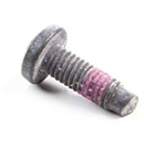 Vis fixation carburateur Briggs et Stratton - 790029