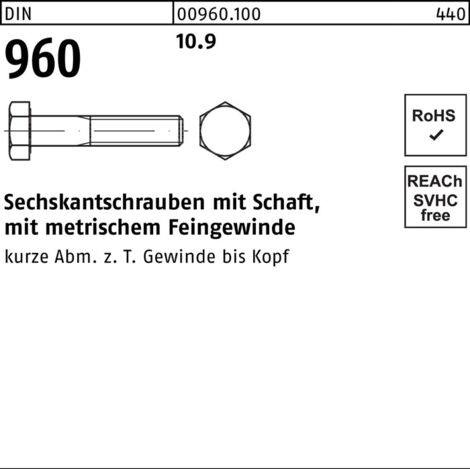 Vis hexagonale DIN 960/ISO 8765 m.Schaft x100mm