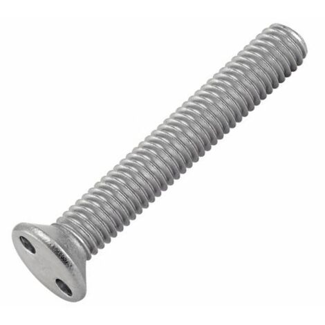 Vis Inviolable TF 2 Trous "Snake Eyes" M3X10 Inox