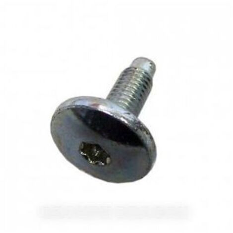 VIS M8X23 TORX TEFL ROHS pour lave linge INDESIT